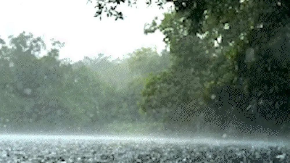 Nem chuva tira a magia: Rio da Prata mantém águas cristalinas